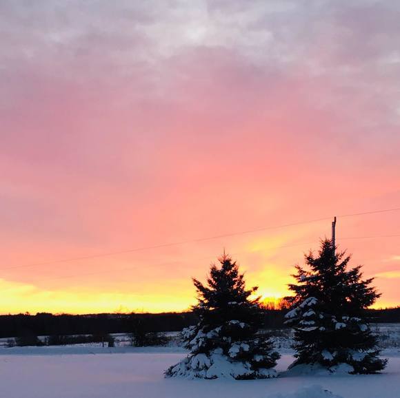 Meet your Posher, Khenderscott - Picture 1 of 1